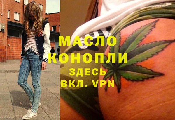 индика Чекалин