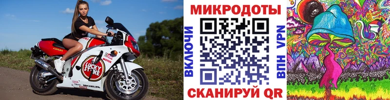 Псилоцибиновые грибы Psilocybe  Магадан 