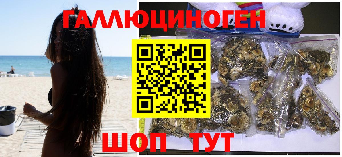Псилоцибиновые грибы мицелий Магадан