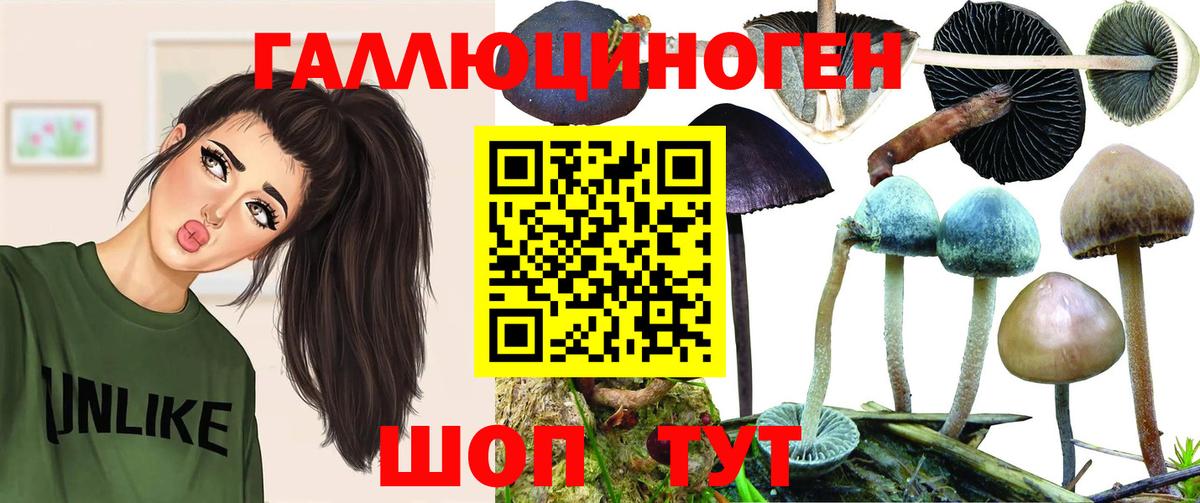 Галлюциногенные грибы GOLDEN TEACHER  Псилоцибиновые грибы GOLDEN TEACHER  Вход с VPN  Магадан 