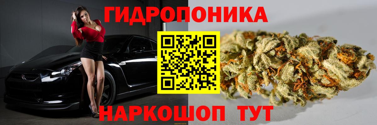 Бошки Шишки Bruce Banner  Конопля конопля  Шишки марихуана THC 21%  Бошки Шишки гибрид  Вход с VPN  Магадан 